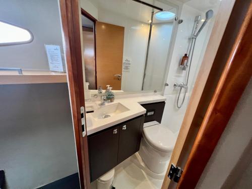 a bathroom with a toilet and a sink at Floatinn Boat-BnB in Geneva