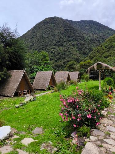 a group of huts with a mountain in the background at EcoSereno Salkantay Huts Chaullay in Santa Teresa
