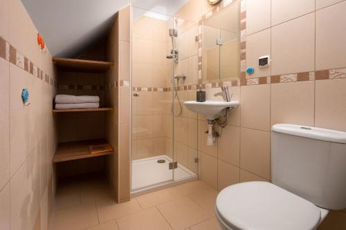 une salle de bain avec toilettes, lavabo et douche dans l'établissement Róża Bałtyku - Apartamenty i Pokoje B, à Dębki