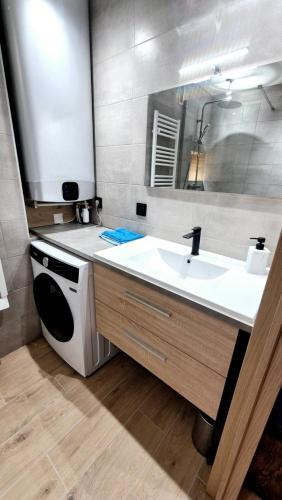 une salle de bain avec un lavabo et une machine à laver dans l'établissement Le Necy, entièrement Rénové en 2025, à Annecy