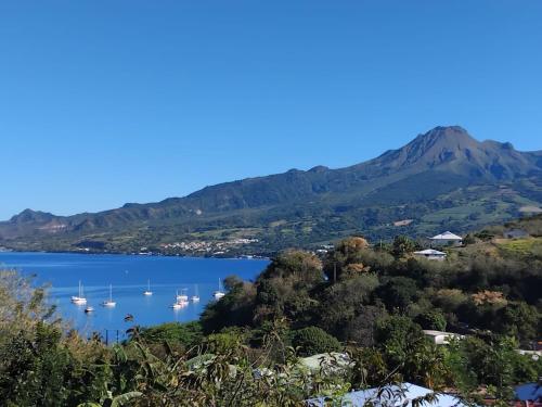 a view of a bay with boats in the water at Carbet Horizon in Le Carbet