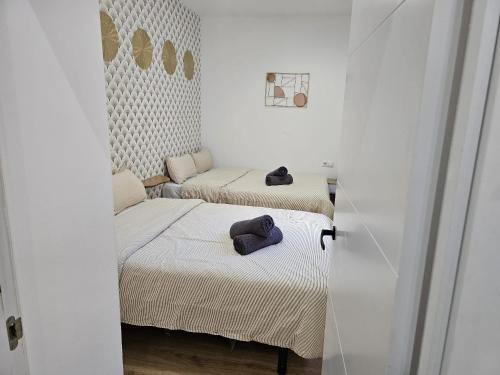Luxury Apartments Near the Beach and Downtown CENTRUM 8