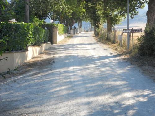 an empty road with trees on the sides of it at Agriturismo La Selva in Nocera Umbra