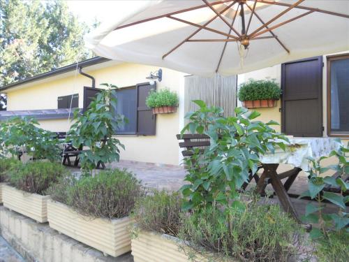 an umbrella in front of a house with potted plants at Agriturismo La Selva in Nocera Umbra