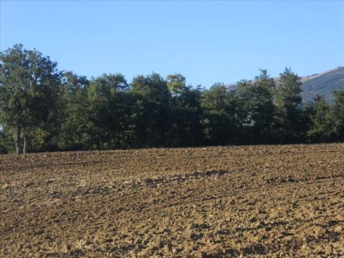 an empty field with trees in the background at Agriturismo La Selva in Nocera Umbra