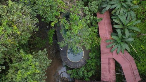 an overhead view of a wooden walkway in a forest at Pal Mar in Nuquí