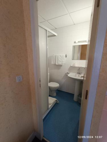 a bathroom with a toilet and a sink at Chambre chez Marie et Didier 1 minute à pied du sanctuaire de Lourdes in Lourdes