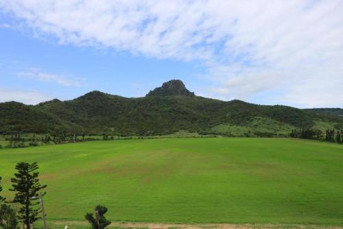a large green field with a mountain in the background at Island on the Sea in Kenting