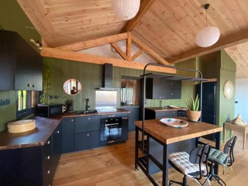 Il comprend une cuisine avec des placards bleus et un plafond en bois. dans l'établissement New wooden house 300 m from beach, forest, 1 to 11 people, à Mimizan-Plage