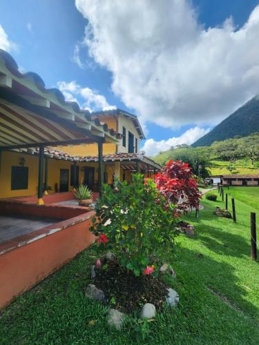 a house with a bush with flowers in the yard at Finca la India Cerro Tusa in Tarso