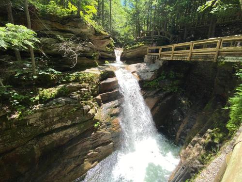 a waterfall in the middle of a forest at 489OER in Whitefield