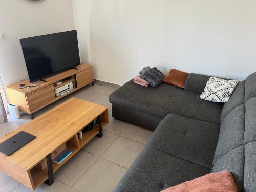 un salon avec un canapé et une télévision dans l'établissement Havre de paix à 15 minute de Genève Calme et nature pour se ressourcer, à Péron