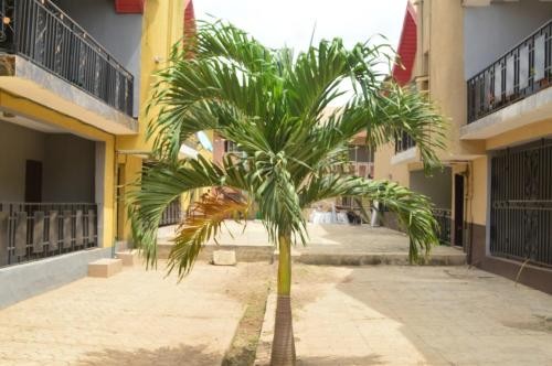 a palm tree in a courtyard of a building at Apartment In Rose Garden Ipaja in Ajegunle