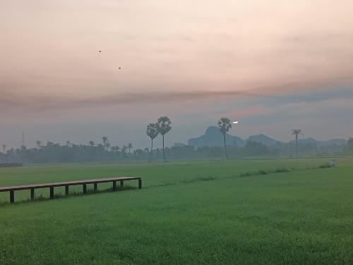 a bench in a field with palm trees in the background at สุขเสมอ โฮมสเตย์ (Suk-Samer homestay) in Ban Nong Phao Than