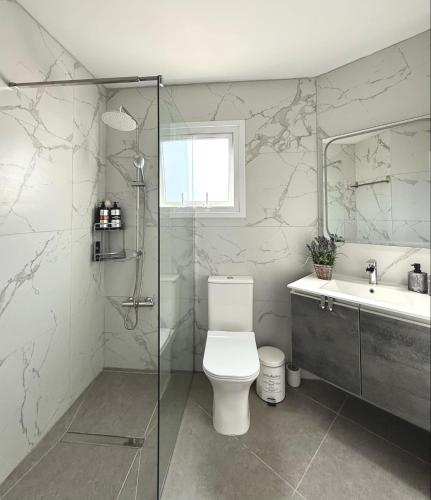 a bathroom with a toilet and a shower and a sink at Irenes Apartment in Larnaca