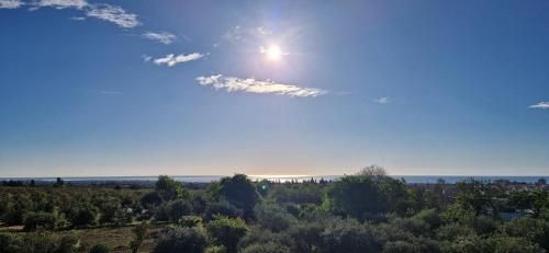 a view of the sun in the sky with trees at I Secolari di Giulia in Avola