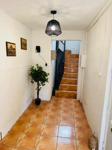 a hallway with a tile floor and a potted plant at LaKaz à Eva in Cilaos