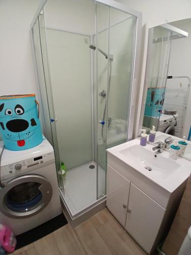 La salle de bains est pourvue d'un lave-linge et d'une douche. dans l'établissement Le Lagos 3 min mer clim Jardin parking, à Saint-Mandrier-sur-Mer