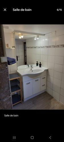 une salle de bain avec un lavabo et un miroir dans l'établissement Le petit bourguignon, à Dijon