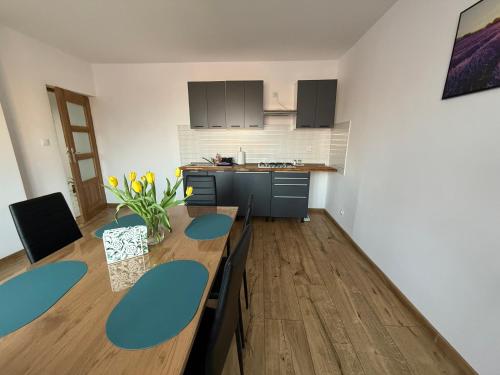 a kitchen and dining room with a table and blue chairs at Zacisze u Rysia in Brochów