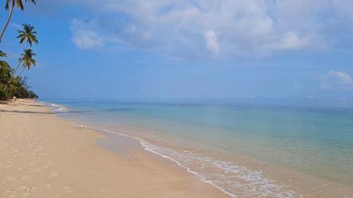 una spiaggia con una palma e l'oceano di Boutique Beach Cottage - Steps to Beach a Nathon Bay