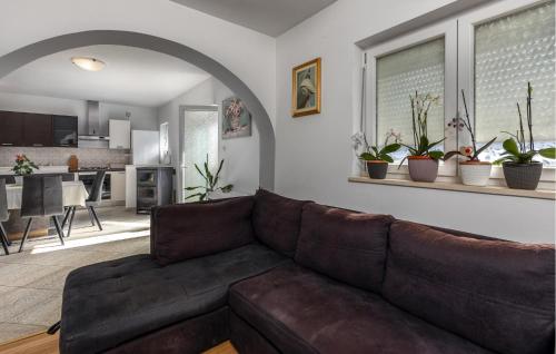 a living room with a brown couch and a kitchen at Awesome Apartment In Novi Vinodolski in Novi Vinodolski