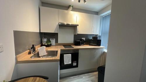 Η κουζίνα ή μικρή κουζίνα στο Cozy 1B Studio Sheffield City Centre!