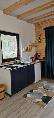 eine Küche mit Spüle und Arbeitsplatte in der Unterkunft Casuta CORE in Sadová