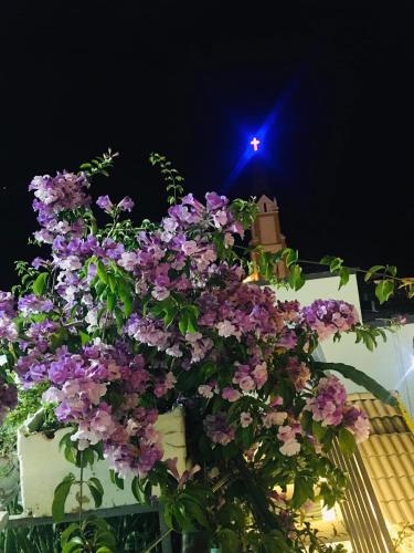a bunch of purple flowers on a white wall at SEA HOME HOMESTAY in Ấp Bình Hưng