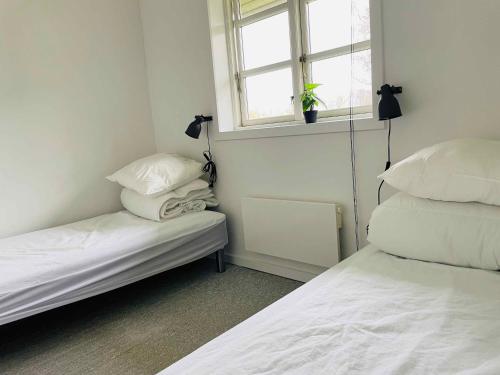 1 dormitorio con 2 camas y una ventana con una planta en Lovely Cottage With Secluded Garden, en Rødby