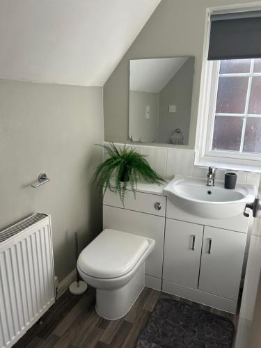 a bathroom with a toilet and a sink at Holly Bank Cottage in Brenchley