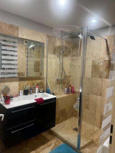 une salle de bain avec un lavabo et une douche dans l'établissement Chambre chez particulier avec piscine, à Carpentras