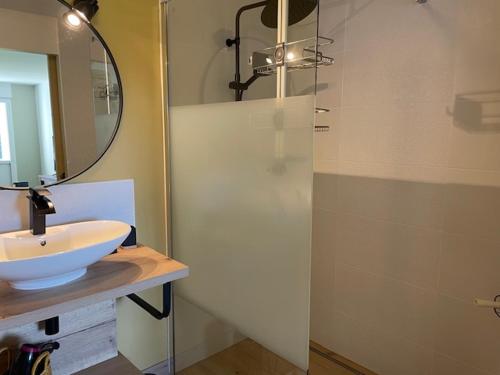 a bathroom with a sink and a glass shower at La Martinière in Saint-Martin-sur-Oust