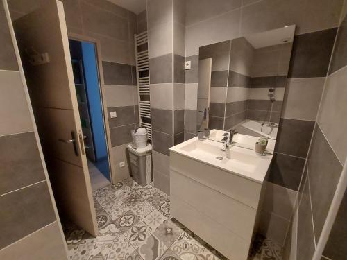 une salle de bain avec un lavabo et un miroir dans l'établissement Appartement de standing bord de plage malo, à Dunkerque