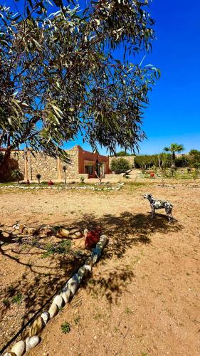 a tree with a statue of a cow in a field at Villa DARANA in Douaïra