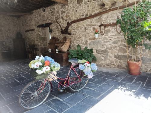 Jízda na kole v ubytování Casa dos Muros turismo rural y actividades en la Ribeira Sacra nebo okolí