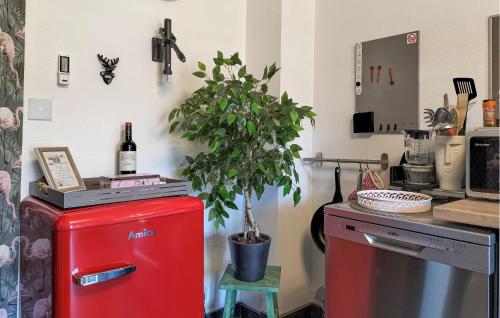 a potted plant sitting on top of an old red refrigerator at Beautiful Apartment In Bouillon in Bouillon