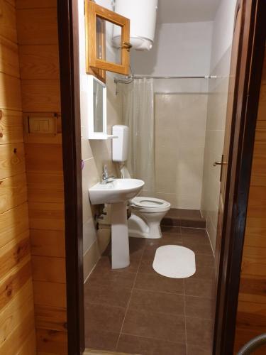a bathroom with a toilet and a sink at Cottage Four Olives in Ulcinj