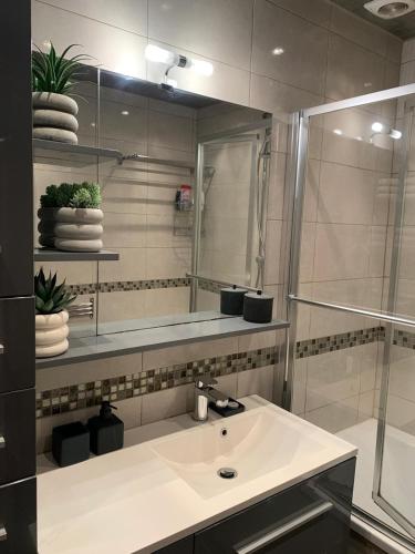 une salle de bain avec un lavabo et une douche avec un miroir dans l'établissement Appartement cosy - Paris La Défense, à Courbevoie