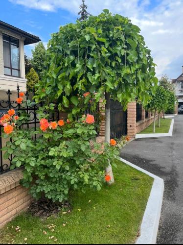 a tree with orange flowers on the side of a house at Гарне місце для відпочинку in Vishenki