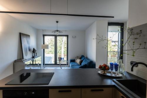 Kuchyň nebo kuchyňský kout v ubytování luxusowy apartament w centrum Krakowa