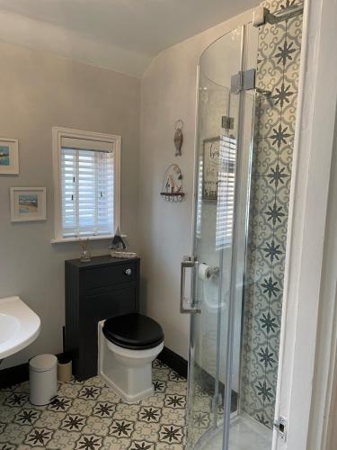 a bathroom with a toilet and a glass shower at Beautiful 3 bedroom house close to Lowestofts south beach in Lowestoft