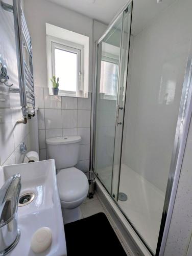 a bathroom with a toilet and a shower and a sink at Spacious Studio with Private Kitchen and Bathroom in Hounslow