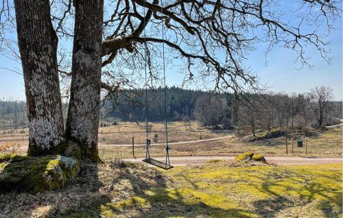 a tree with a swing in front of a road at Amazing Home In Mjöbäck in Mjöbäck