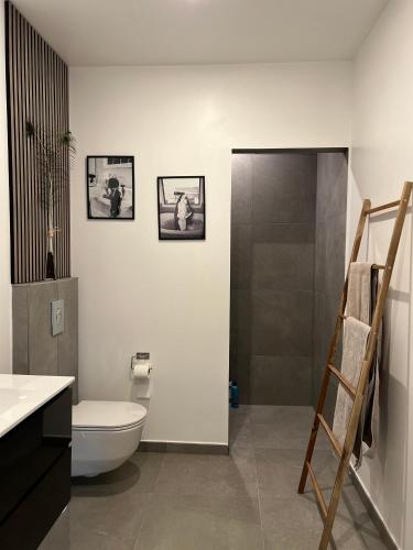 a bathroom with a toilet and a ladder in it at 3 km to Legoland in Billund