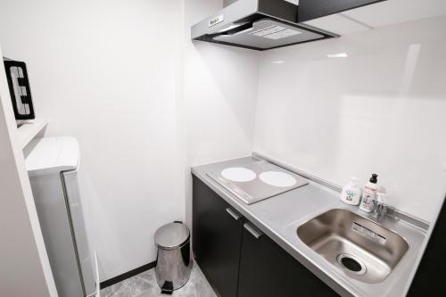 a bathroom with a sink and a counter with a sink at Randor Residence Kyoto Nijo Castle in Kyoto