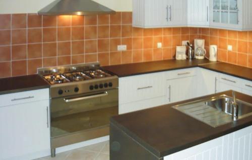 une cuisine avec une cuisinière et un évier dans l'établissement Cozy Home In Bagnols Sur Ceze, à Bagnols-sur-Cèze