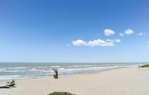 a sandy beach with a cactus and the ocean at Amazing Apartment In Montalto Di Castro in Montalto di Castro