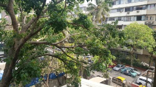 a tree in front of a building at Bentley Hotel Marine Drive in Mumbai