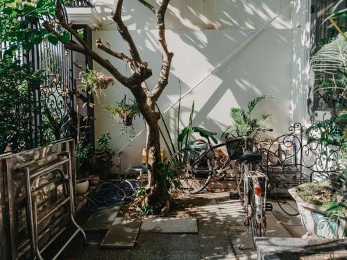 a tree in the middle of a room with plants at LA MER Homestay Quynhon in Quy Nhon